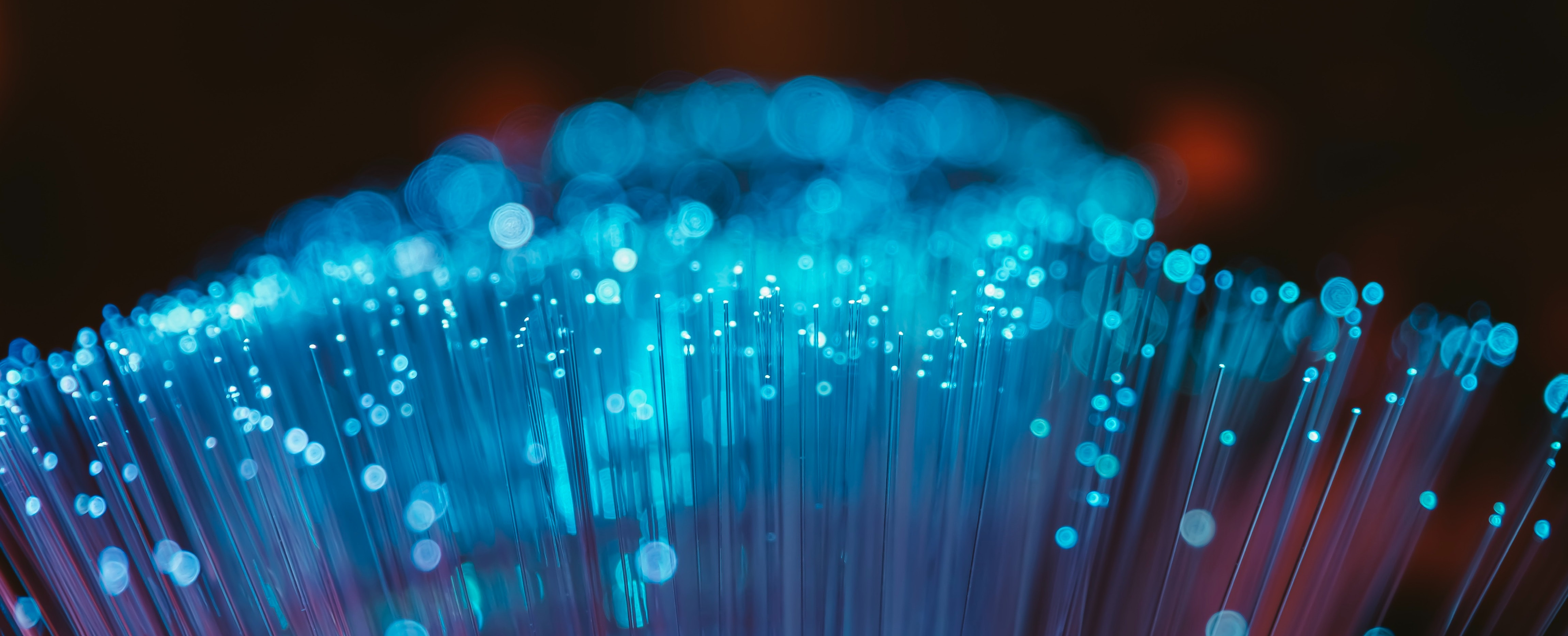 Photo de fibres optiques