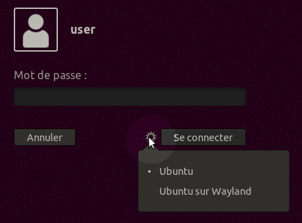 Photo d'écran montrant la zone de sélection de l'environnement